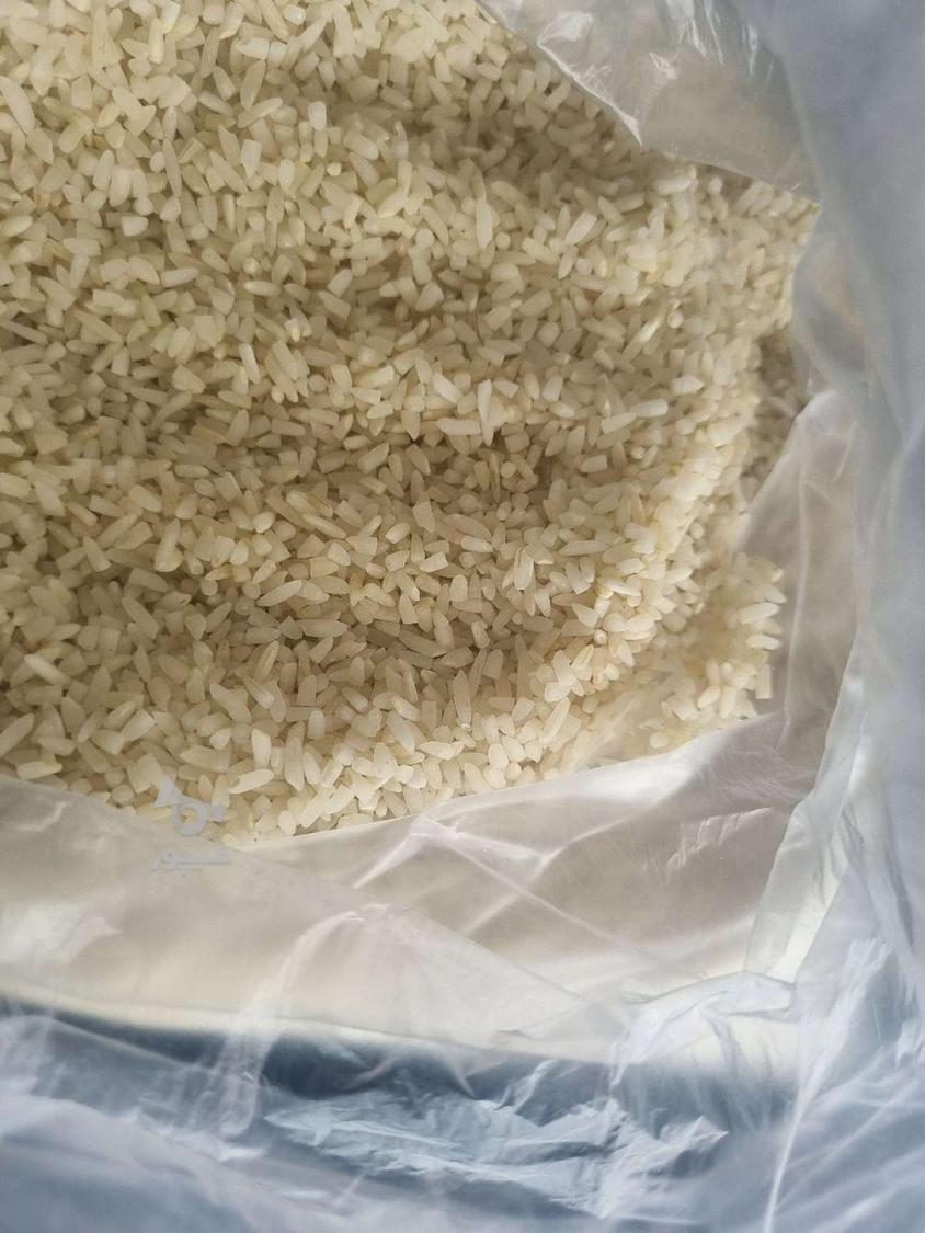 سرلاشه کشت دوم
