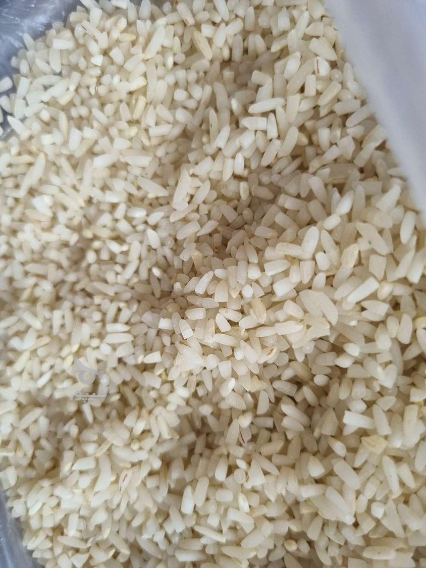 سرلاشه کشت دوم