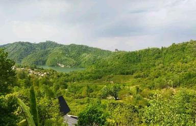 فروش ویلا 480 متر در دالخانی