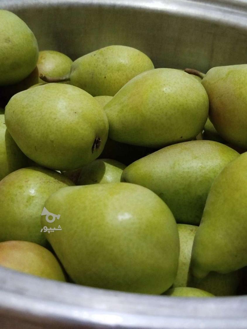 گلابی اسپادانا شیرین و آب دار