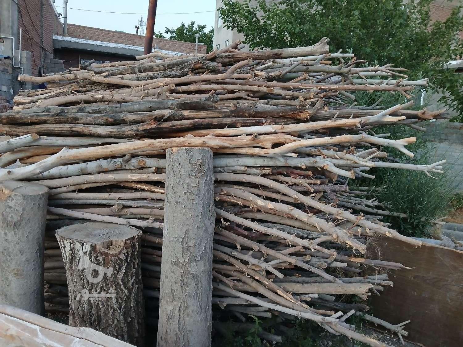 خریدار چوب و فروش هاچه برای سیب