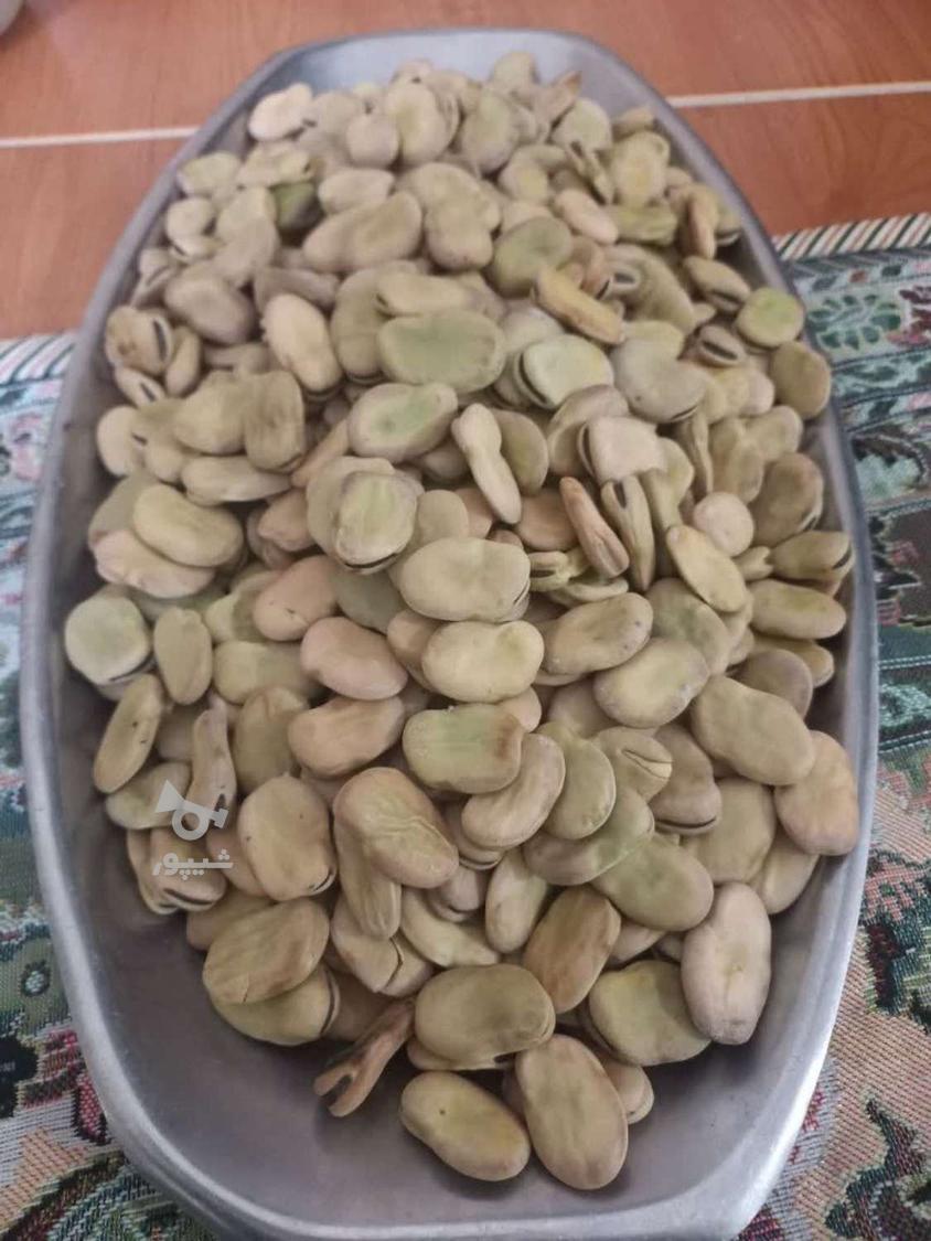 باقالا خشک عالی برای بذر کاشت