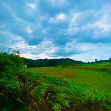 1300 متر داخل طرح چسبیده به مسکونی گمل