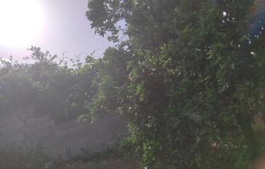 فروش زمین کشاورزی 1270 متر در جاده نظامی