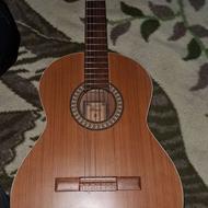 گیتار پارسی m5 استفاده نشده