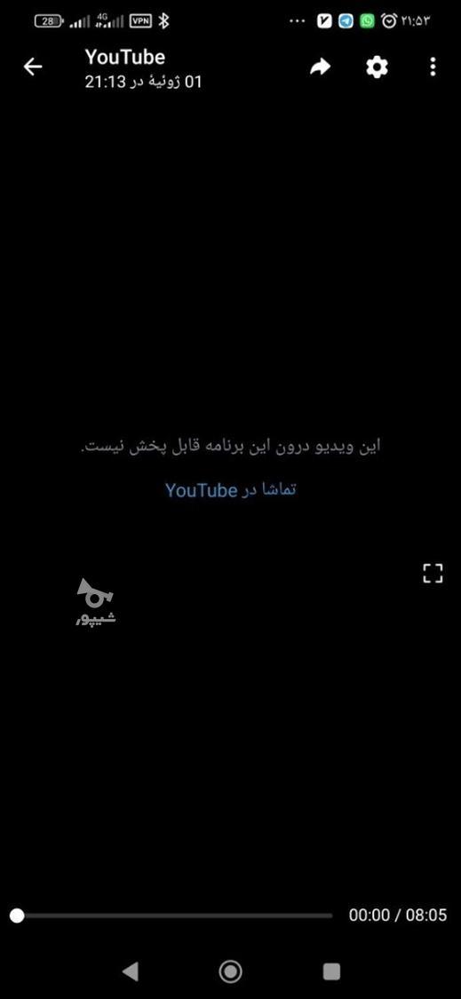 درخت اوجا با مجوز