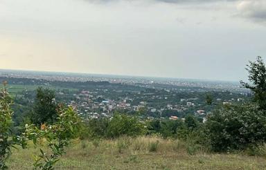 فروش زمین کشاورزی 1200 متر در وسطی کلا