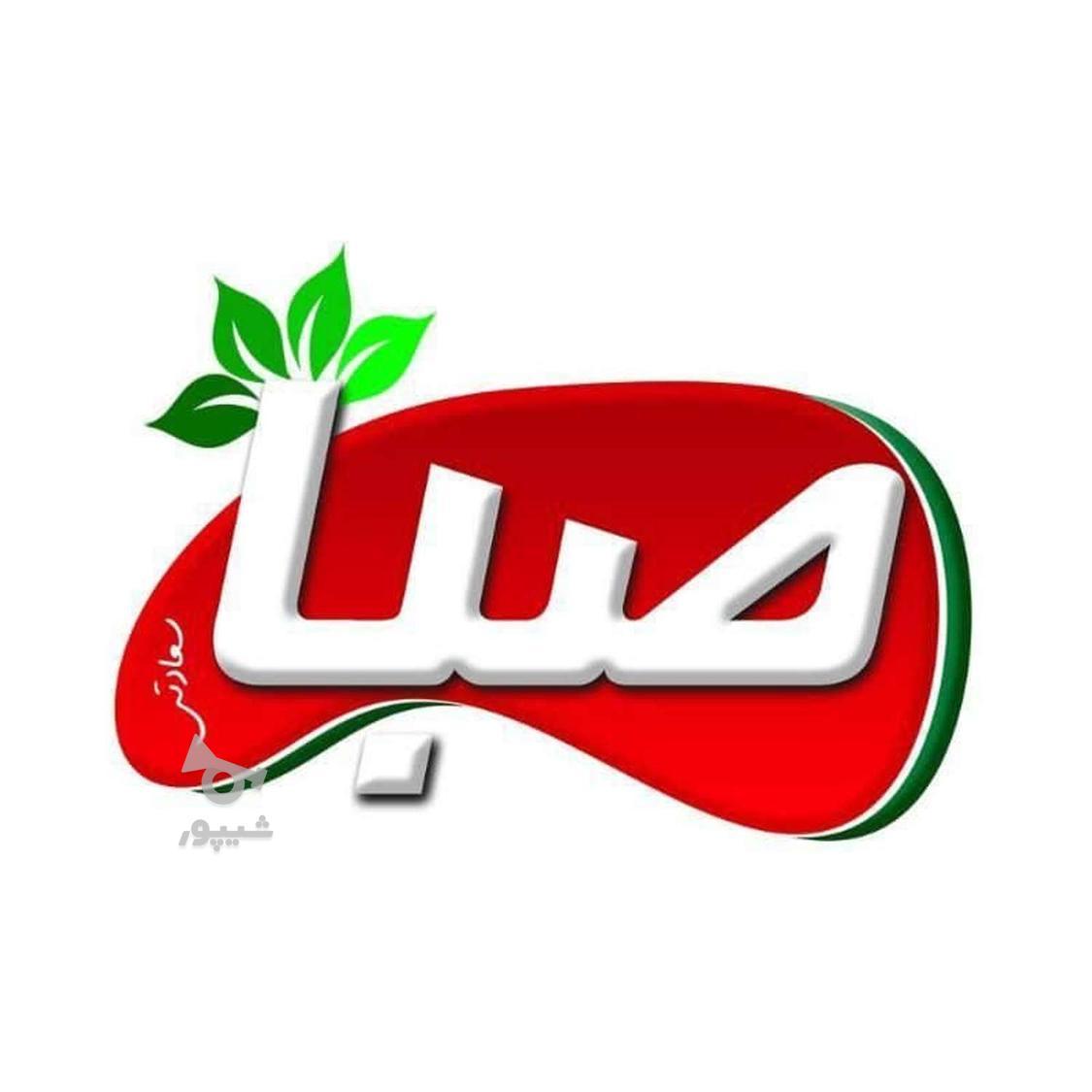 راننده ایسوزو 6 تن و مامور پخش در شرکت صبا - undefined
