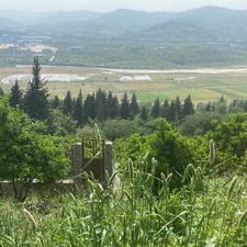 فروش زمین باغی جنگلی 300 متر در تنگه لته