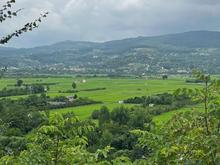 زمین 200 متر در تنگ لته ویو ابدی در شیپور