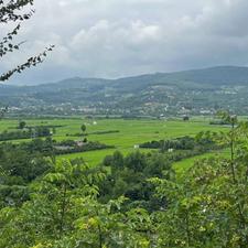 زمین 200 متر در تنگ لته ویو ابدی