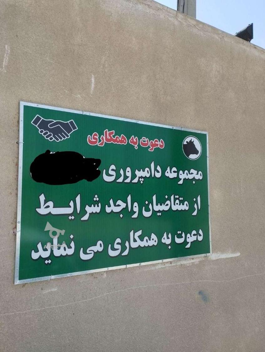 استخدام راننده تراکتور و لودر - undefined