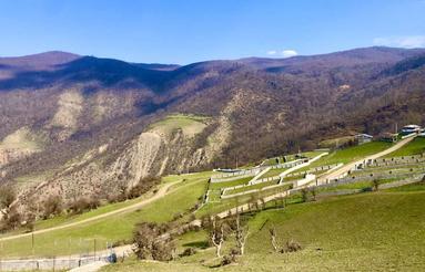 فروش زمین مسکونی 280 متر