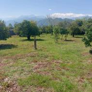 فروش زمین 2274 متر درروستا چایخانسر چابکسر