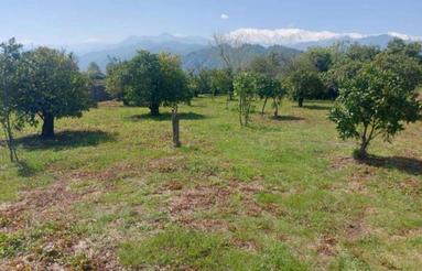 فروش زمین 2274 متر درروستا چایخانسر چابکسر