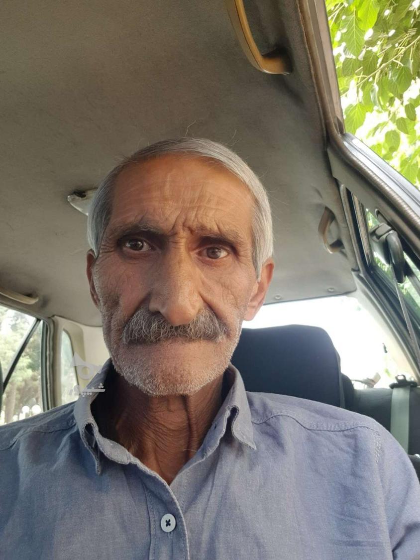 جویای کار رانندگی پایه یک - مشاور