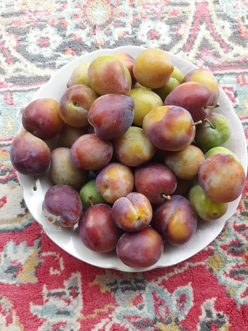 آلو خوش طعم شابلون