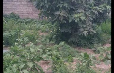 فروش زمین مسکونی 200 متر در بلوار منفردتخفیف خورد