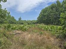 فروش زمین مسکونی 2700 متر در چینی جان در شیپور