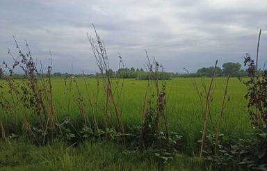 فروش ویلا 40000 متر در حسن آباد