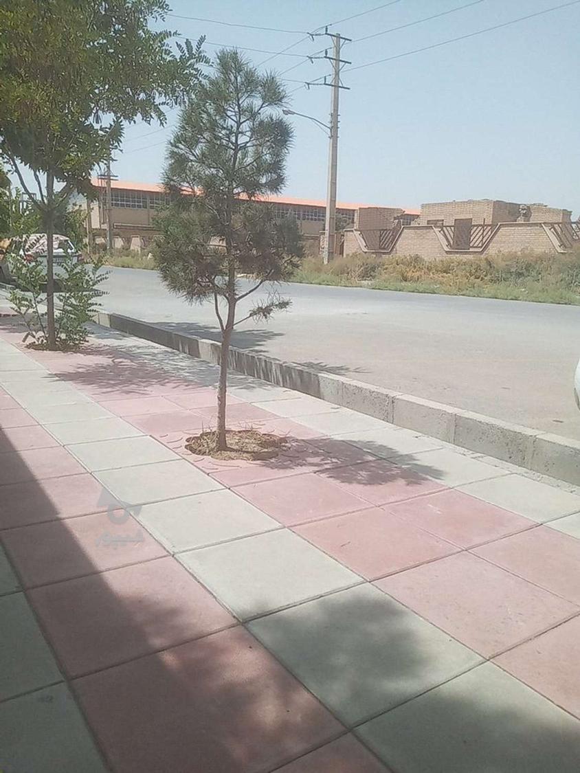 شرکت رنگ سازی رانا کیمیا - امیرعلی