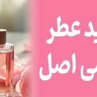 پخش عطر خلفی شروع شد