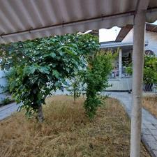 فروش ویلا 448 متر در مرکز شهر