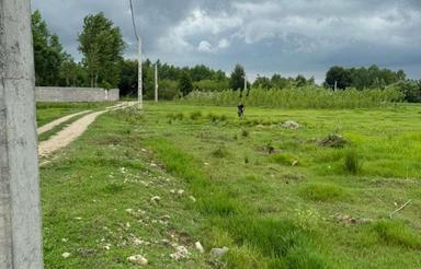 زمین کشاورزی 300 متر در جاده فومن