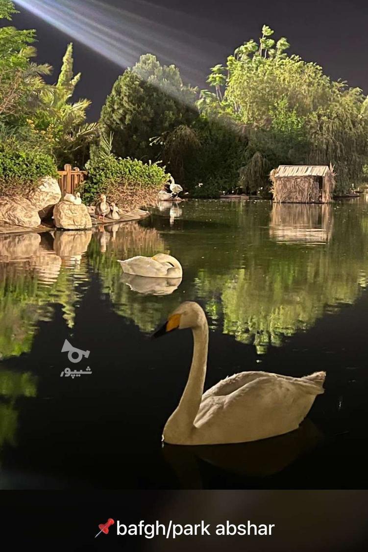 درخواست کار در منزل - undefined