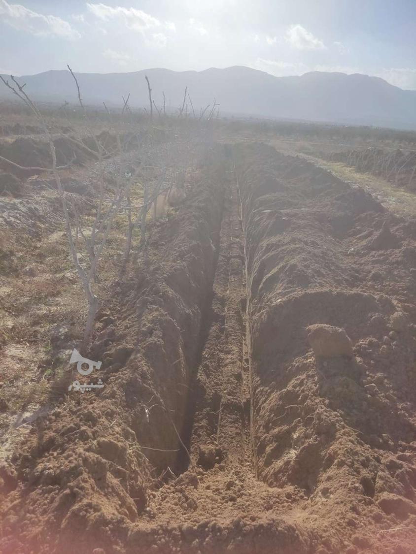 راننده ماهر بیل بکهو