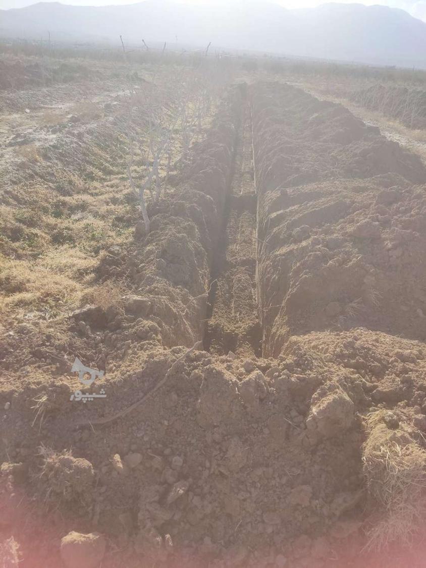 راننده ماهر بیل بکهو