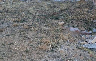 فروش زمین مسکونی 180 متر در شهرک فاطمیه