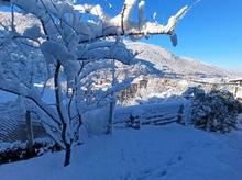 ویلا 270 متری در مرکزشهر در شیپور