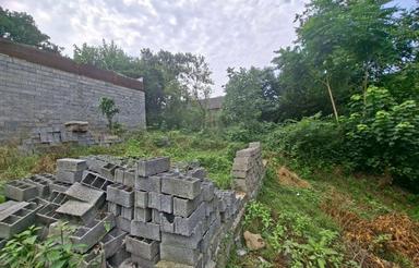 فروش زمین کشاورزی 220 متر در وسطی کلا