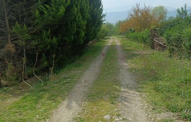 فروش 200 متر زمین در اطراف سلیمان آباد