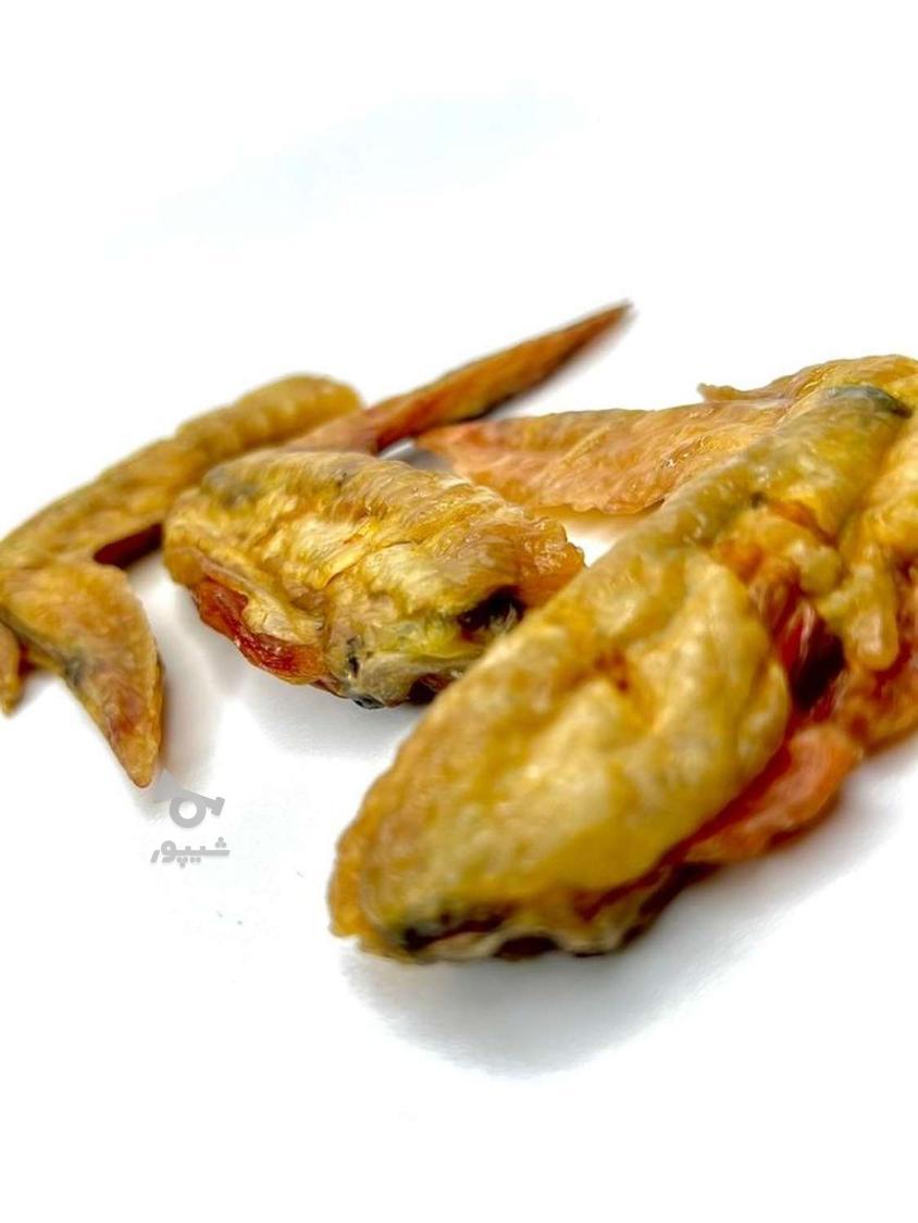 تشویقی سگ اقتصادی