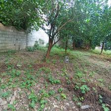 زمین مسکونی بافت «زرد»200متر/دوردیوار