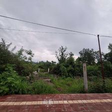 فروش 900 متر زمین ویودار در کتشال