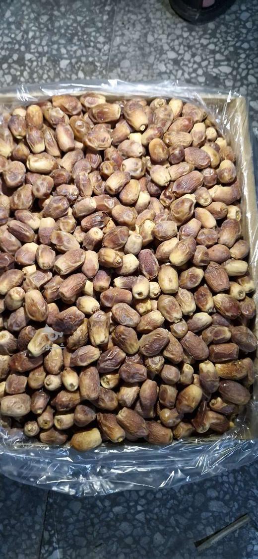 فروش خرمای زاهدی قیروکارزین