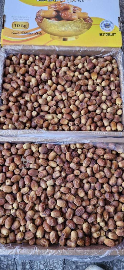 فروش خرمای زاهدی قیروکارزین