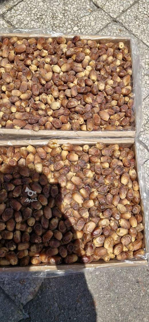 فروش خرمای زاهدی قیروکارزین