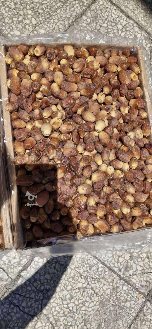 فروش خرمای زاهدی قیروکارزین