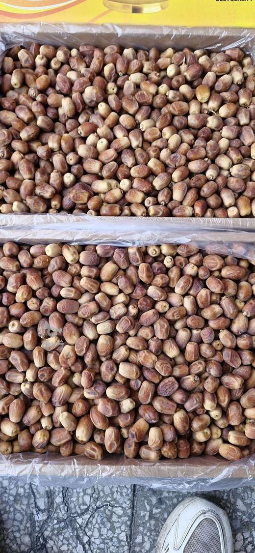 فروش خرمای زاهدی قیروکارزین