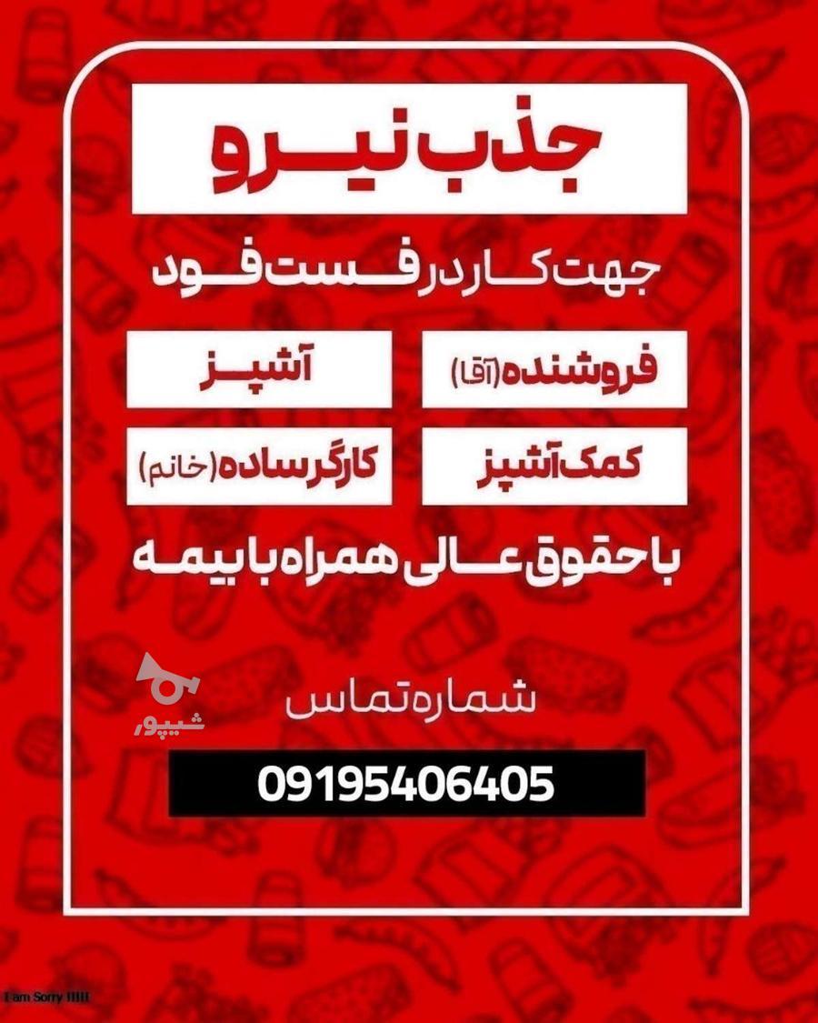فروشنده آقا،آشپز و کمک آشپز فست فود و کارگر ساده خانم - undefined