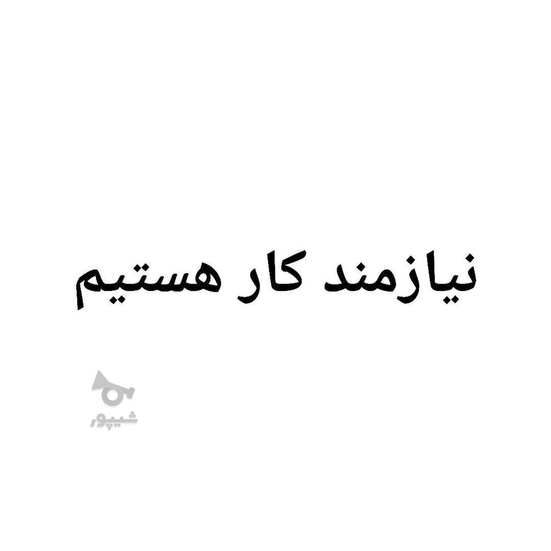 نیازمند کار هستم - Saleh