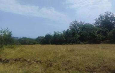 فروش زمین 8090 متری در رامسر