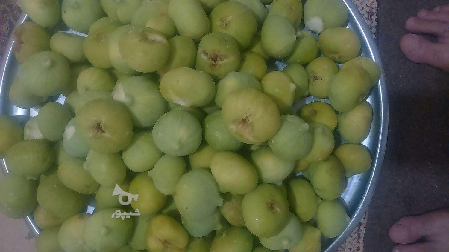 سم پاشی منزل باغبانی هرس نظافت اچارفرانس