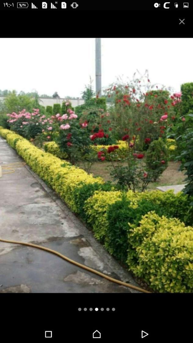 سم پاشی منزل باغبانی هرس نظافت اچارفرانس