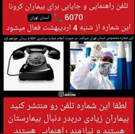 یاماها اصل برند ژاپن