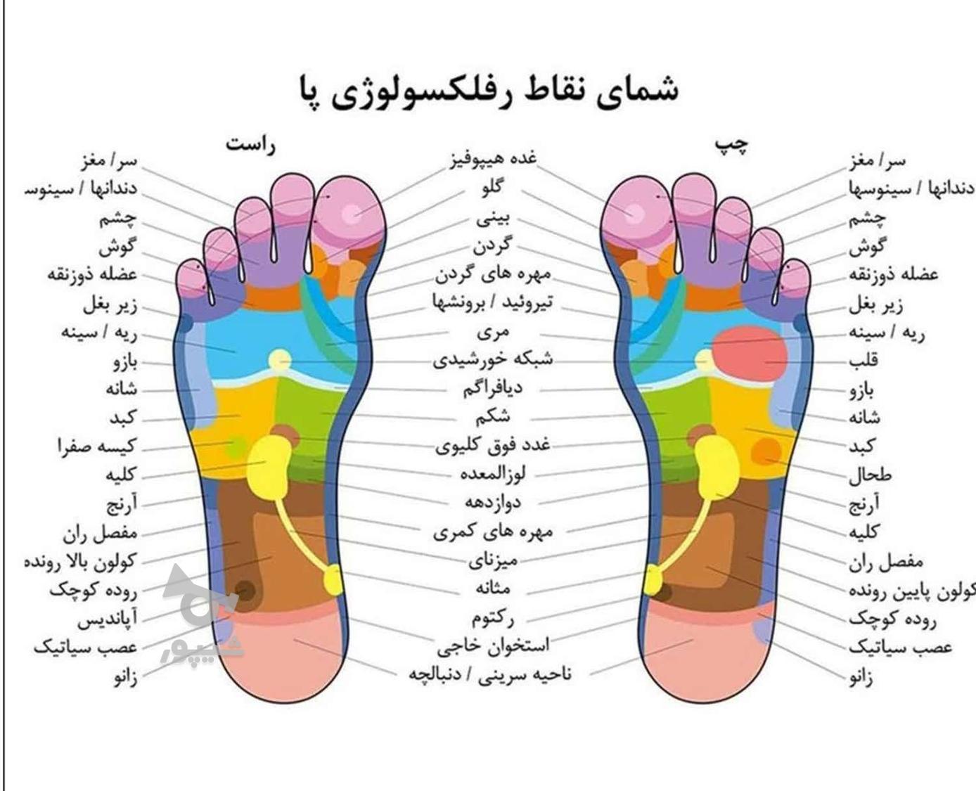 ماسور وخدمات ماساژ انجام داده میشود
